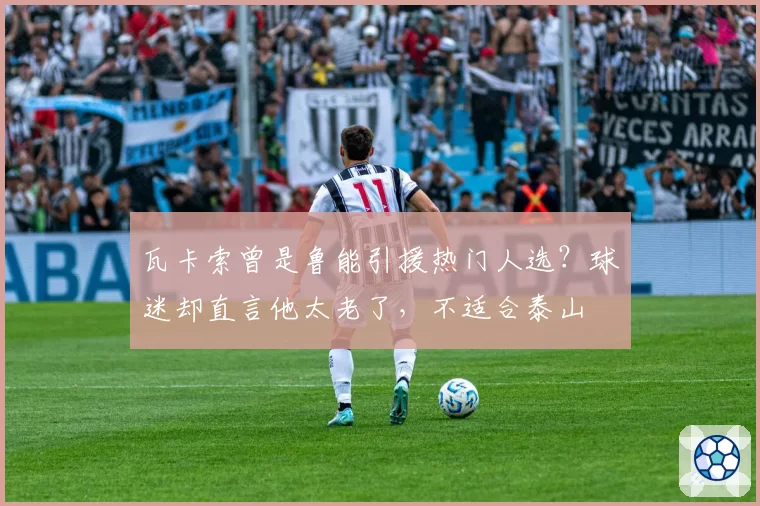 瓦卡索曾是鲁能引援热门人选？球迷却直言他太老了，不适合泰山