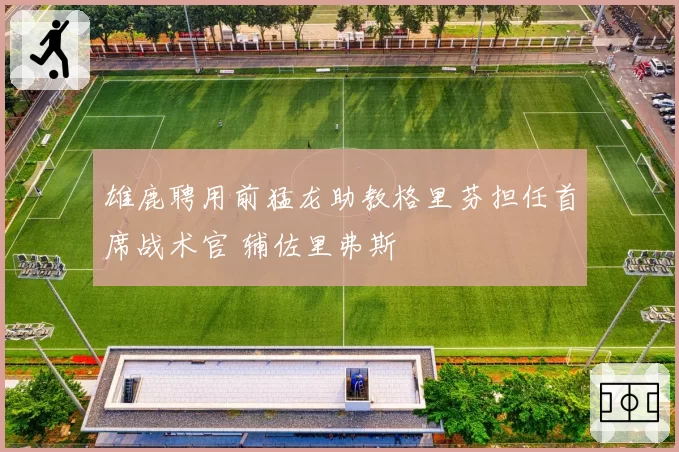 雄鹿聘用前猛龙助教格里芬担任首席战术官 辅佐里弗斯