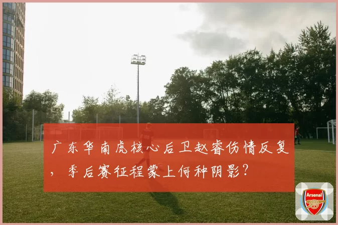 广东华南虎核心后卫赵睿伤情反复，季后赛征程蒙上何种阴影？