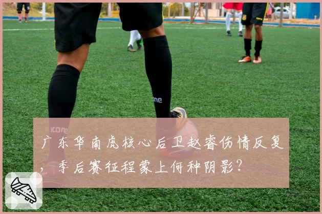 广东华南虎核心后卫赵睿伤情反复，季后赛征程蒙上何种阴影？