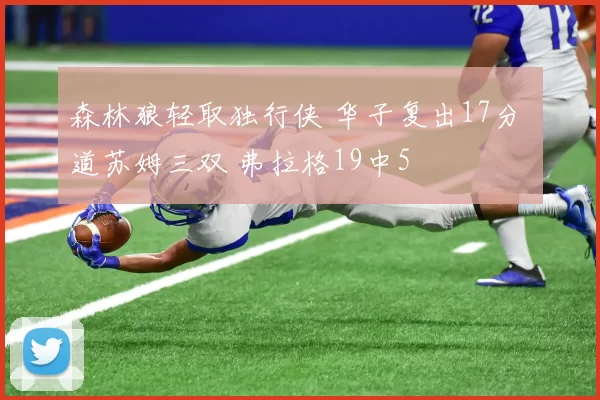 森林狼轻取独行侠 华子复出17分 道苏姆三双 弗拉格19中5